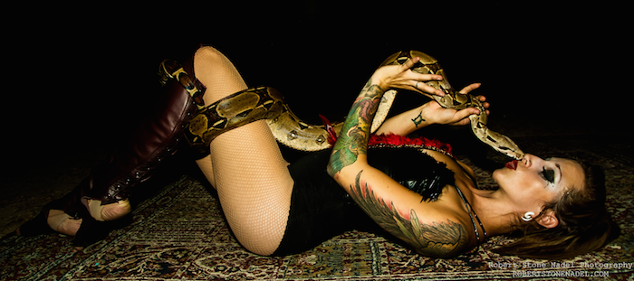 snake dancer 3